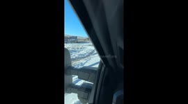 Mule Deer Rarely Enjoy Truck Beds