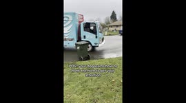 French Bulldog Honks Horn To Get Owner's Attention