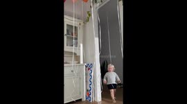 Toddler’s priceless reaction to birthday balloon surprise