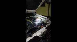 Python removed from engine of parked car in Thailand