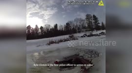 US: Horse Plunges Through Ice in Perilous Pond Ordeal, Saved by Heroic Police and Owner