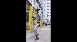 Humanoid robot performs Kung Fu