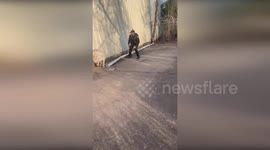 US: Police Chase Runaway Goat Through Tuscaloosa Streets