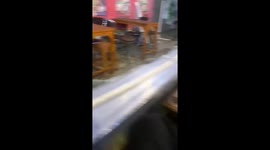 Two rats caught wrestling in restaurant in Semarang, Indonesia