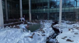 Hot spring tourism gains steam in China's icy northeast