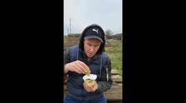 Dog snatches potato pancake and sour cream from owner