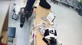 Woman accidentally sits on cat before it misses a jump in China