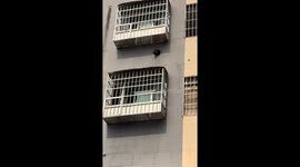 Dog peeks through hole and barks in Guangdong, China