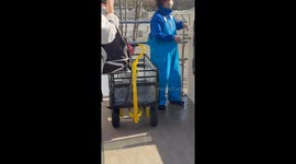 Adorable penguins lifted out of enclosure into trolley for feeding time