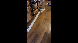Roomba Wraps Itself In A Roll Of Toilet Paper