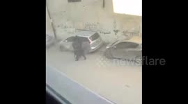 Palestine: Israeli forces arrest a Palestinian child from Shuafat refugee camp in Jerusalem
