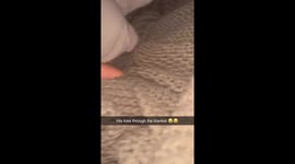 Toes Stick Out Through Crocheted Blanket