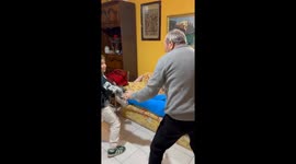 Grandson Play Fights Grandfather