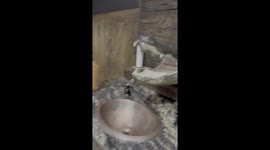 Gator Head Sink Found In Louisiana Restaurant