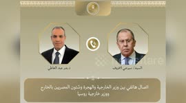 Egyptian, Russian FMs discuss regional developments, bilateral ties