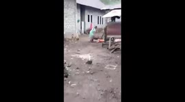 Residents rescue mother and daughter being attacked by wild boar