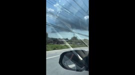 Swooper-bike! Pet falcons ride on the back of owner's motorcycle