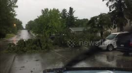 Lake Park Storm Damage 7-11-16