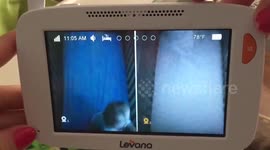 Twins caught on camera