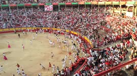 Bulls and runners enter arena during San Fermin festival