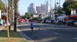 Fire Echo Park Sunset Boulevard Los Angeles