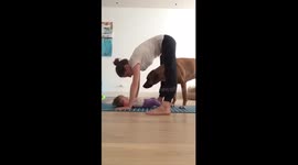 Mum, dog and baby do yoga together