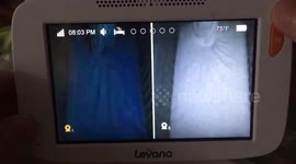 Twins caught on camera!