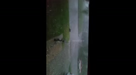 7-10-16 hail storm killdeer, ND  beware foul language lol