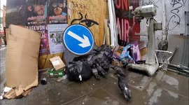 Pigeons going nuts for food trapped in a bag in London's Soho