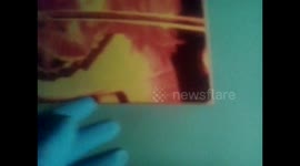 False Widow Hides behind a Picture on the Wall