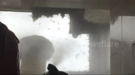 Firefighters clear thousands of bees out of hive in flat