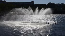 Heatwave in Portugal