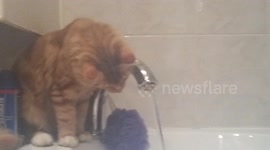 Samson fascinated by the tap water