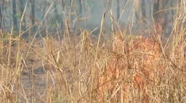 Smoke everywhere