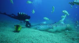 Cassie and Ulises dives