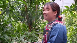 China's post-90s national lawmaker devoted to rural revitalization