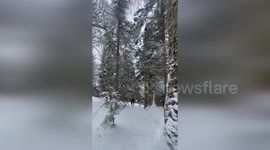 US: Plane Crashes into Icy Vermont Peak, Three Injured