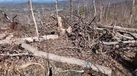 US: Hurricane Helene Aftermath Unleashes Chaos as Debris Overwhelms Private Properties