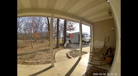 Dog Greets FedEx Driver