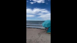 Ocean Claims Beach Umbrella