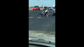 Ladies Duke it Out in the Street