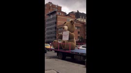 Giant Bear With Valentine's Message