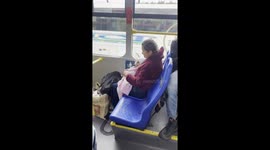 Fur Baby Bus Ride