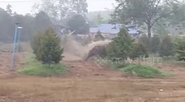 Wild elephant charges through village nearly hitting motorcycle rider