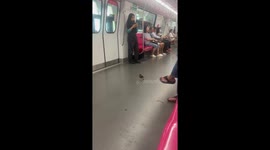 Wild bird hitches a ride on train in Singapore