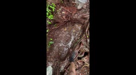 Hiker face plants on muddy trail and leaves imprint on ground