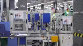 Business leader highlights China's innovation-driven growth and sustainability
