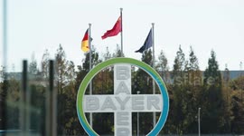 Bayer benefits from Chinese market: senior executive