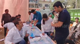 Dogs of various breeds from the country and abroad participated in the dog show in Kanpur, Uttarpradesh