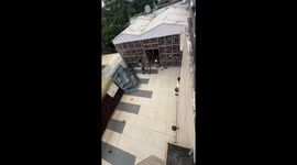 Man releases a large flock of pigeons in Delhi, India